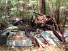 This pile of doors and bumpers salvaged from ancient cars appears next to the abandoned 1950 Oldsmobile.